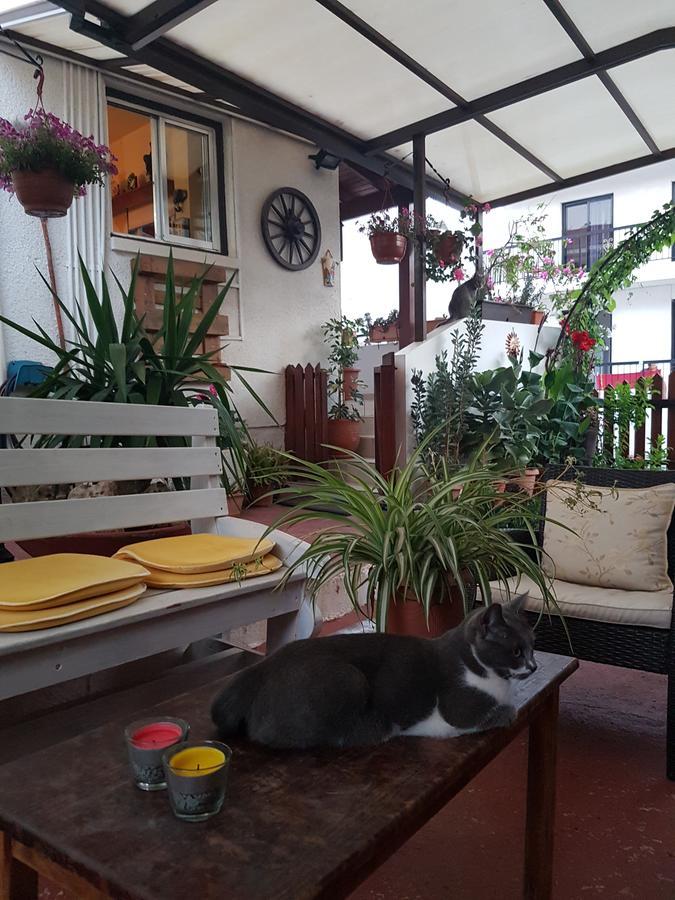 Estia Vasilis Manoli Appartement Agia Napa Buitenkant foto